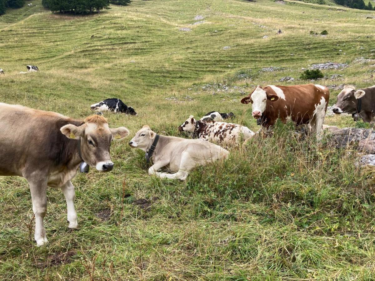 Bad-Schwarzsee Chalet Alte Post מראה חיצוני תמונה