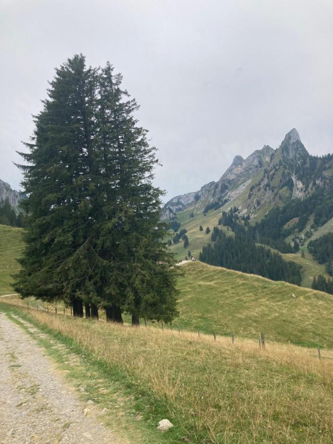 Bad-Schwarzsee Chalet Alte Post מראה חיצוני תמונה
